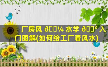 厂房风 🐼 水学 🌲 入门图解(如何给工厂看风水)
